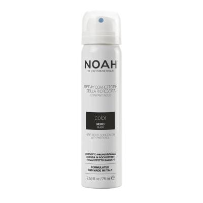 NOAH Natural Black Colour Hair Root Concealer Spray with Vitamin B5 For Bright and Homogenous Effect, 75ml