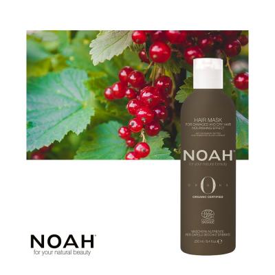 NOAH COSMOS ORGANIC Hair Mask For Damaged and Dry Hair with Nourishing Effect, 250ml