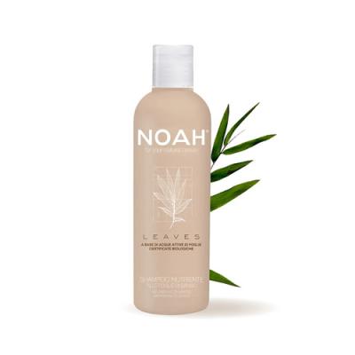 NOAH Natural Leaves Nourishing Shampoo with Bamboo Leaves For Moisture Locking, 250ml